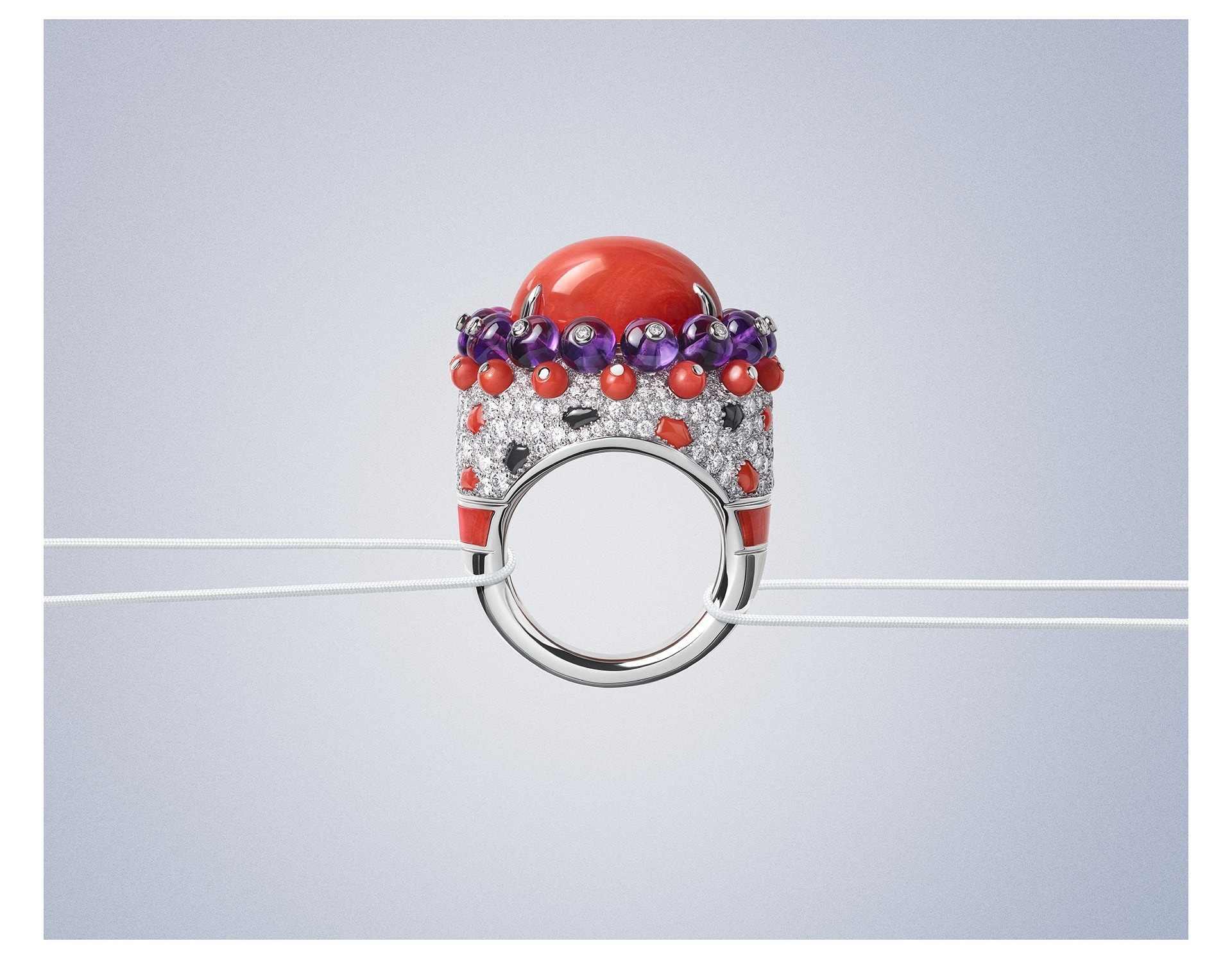 EP1 panthere orbitale ring clp