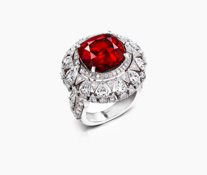 Cardinalis ring, <br>2020