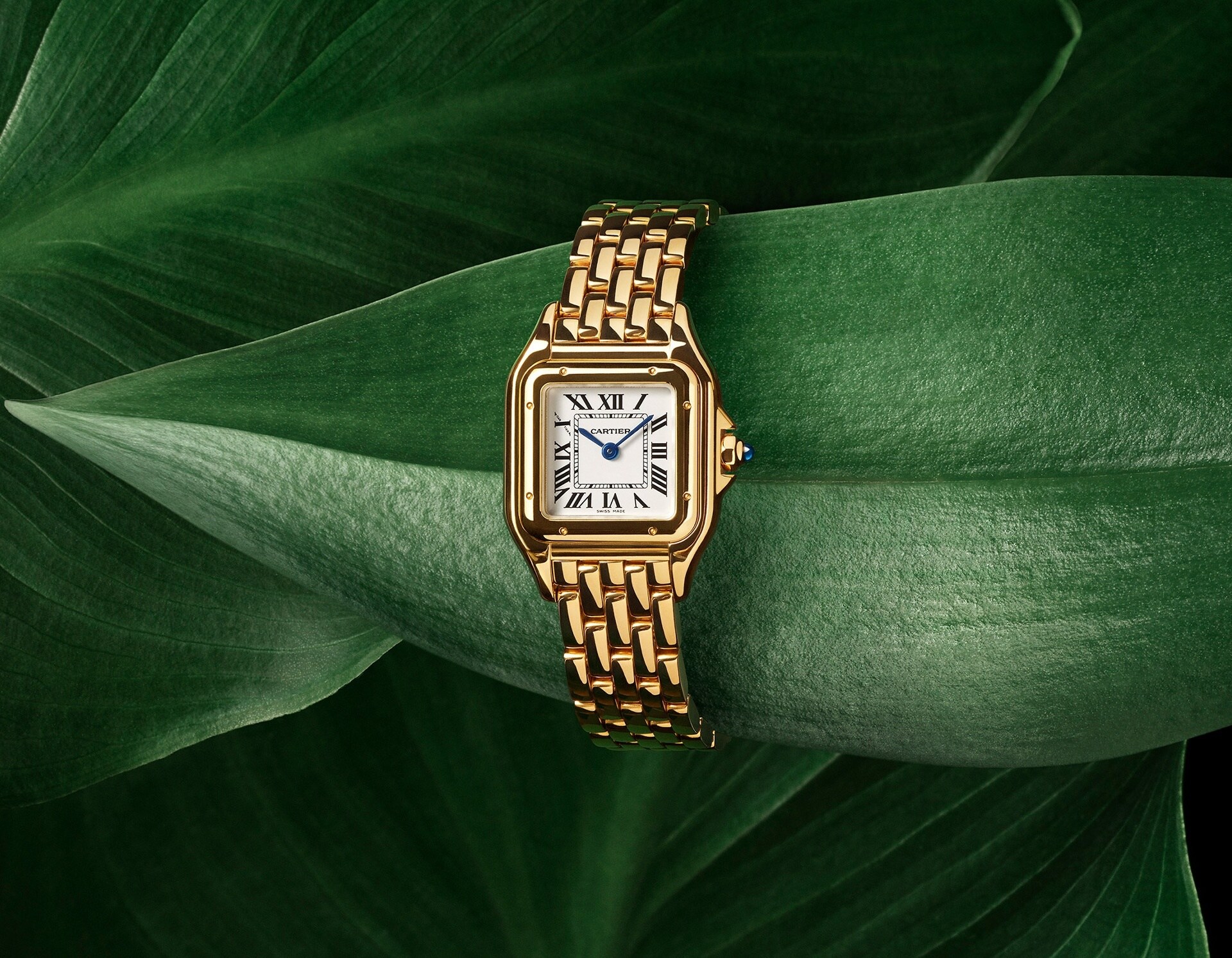 EP1 panthere watches clp 24 design
