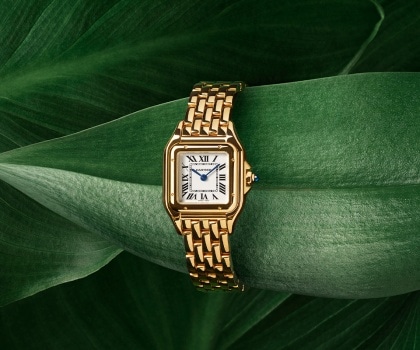 Cartier 360 online