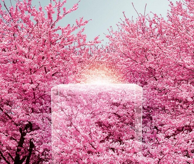 A floral explosion