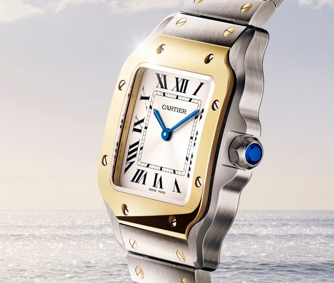 Watch Selection