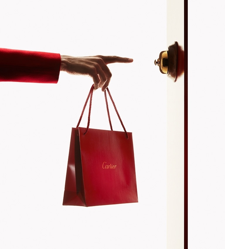 Cartier shopping shop
