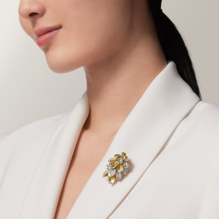 Grain de Café brooch Yellow gold, platinum, diamonds