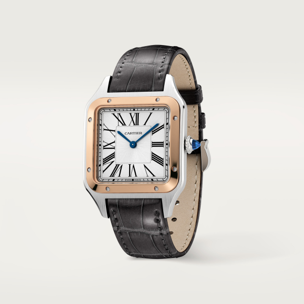 santos cartier watch ladies