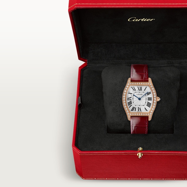 Cartier turtle deals watch
