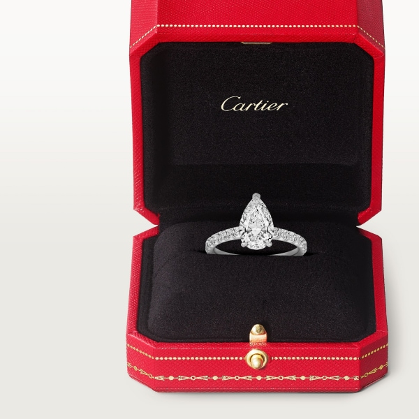 Solitaire 1895  Platinum, diamonds