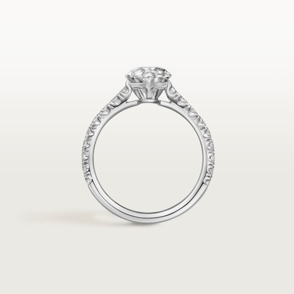 Solitaire 1895  Platinum, diamonds
