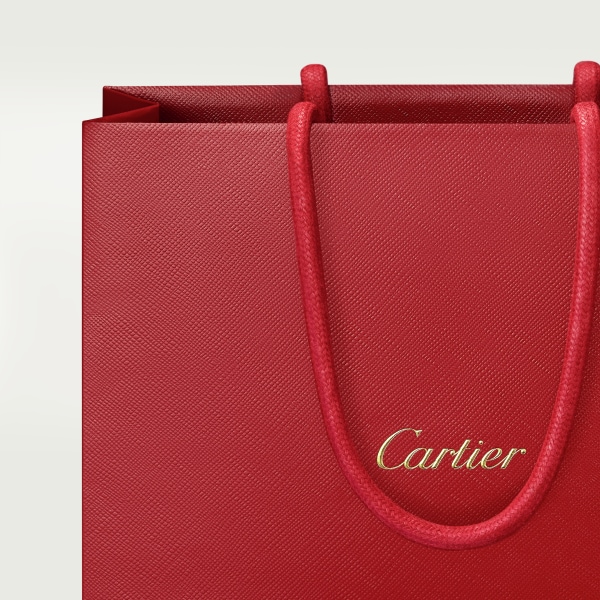 Pasha de Cartier Eau de Toilette Refill Eau de Toilette