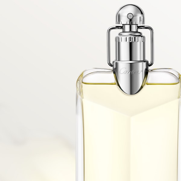 Déclaration Eau de Toilette