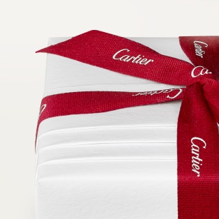 Panthère de Cartier blanket Merino wool and cashmere