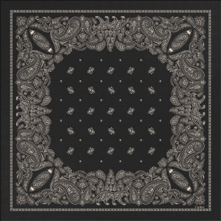 Bandana, Double C paisley Twill silk, black