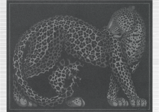 Panthère de Cartier卡地亚猎豹毛毯 羊绒、羊毛