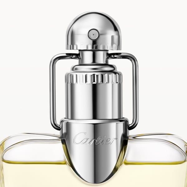Déclaration Eau de Toilette