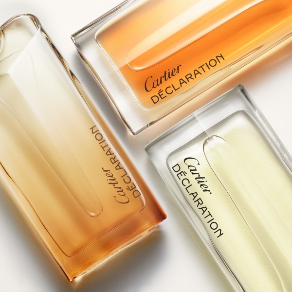 Déclaration Eau de Toilette